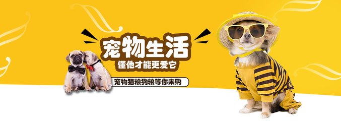 7777788888管家婆老家最新版本更新内容